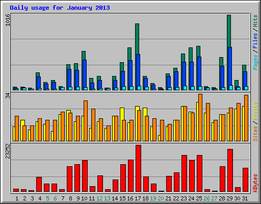 Daily usage for January 2013