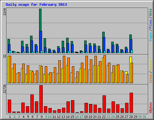 Daily usage for February 2013
