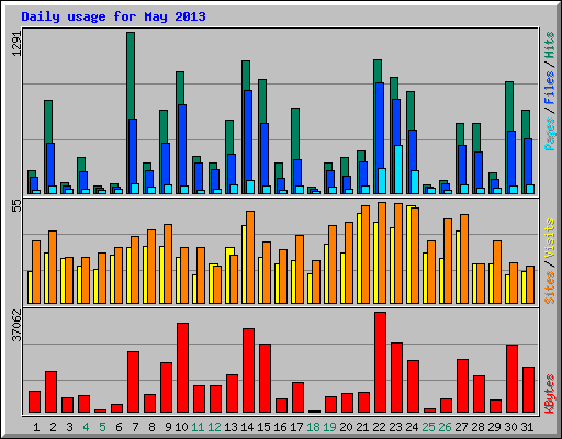 Daily usage for May 2013