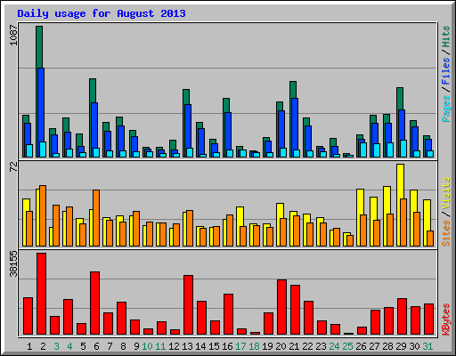 Daily usage for August 2013