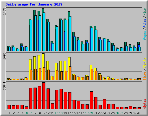 Daily usage for January 2019