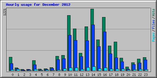 Hourly usage for December 2012