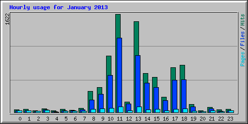 Hourly usage for January 2013