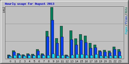 Hourly usage for August 2013