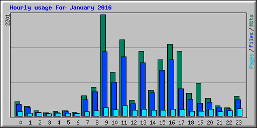 Hourly usage for January 2016