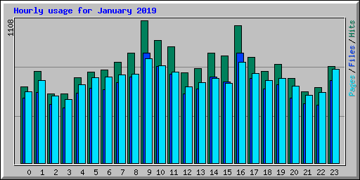 Hourly usage for January 2019