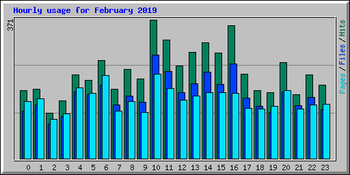 Hourly usage for February 2019