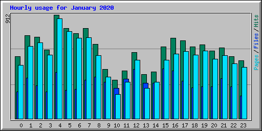 Hourly usage for January 2020