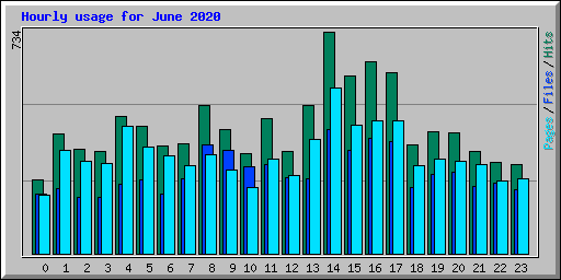 Hourly usage for June 2020