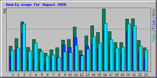 Hourly usage for August 2020