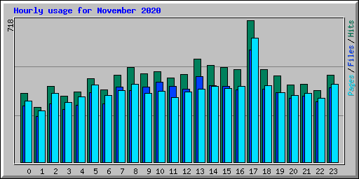 Hourly usage for November 2020