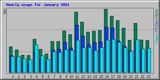 Hourly usage for January 2021