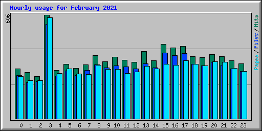 Hourly usage for February 2021