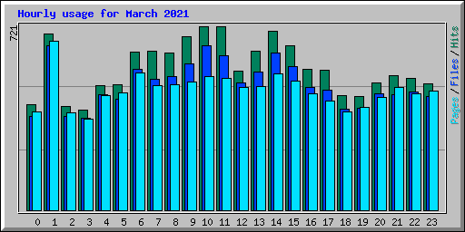 Hourly usage for March 2021