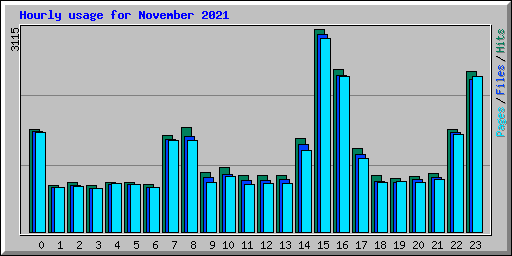 Hourly usage for November 2021