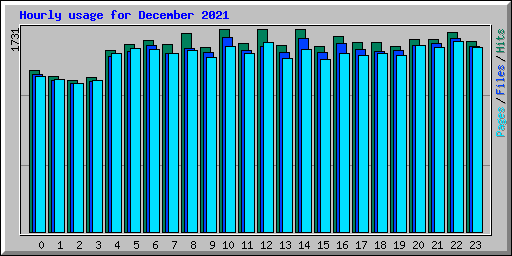 Hourly usage for December 2021