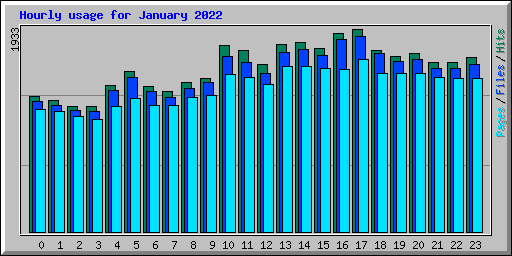 Hourly usage for January 2022