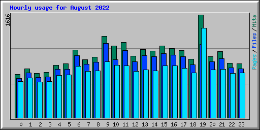 Hourly usage for August 2022