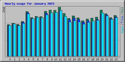 Hourly usage for January 2023